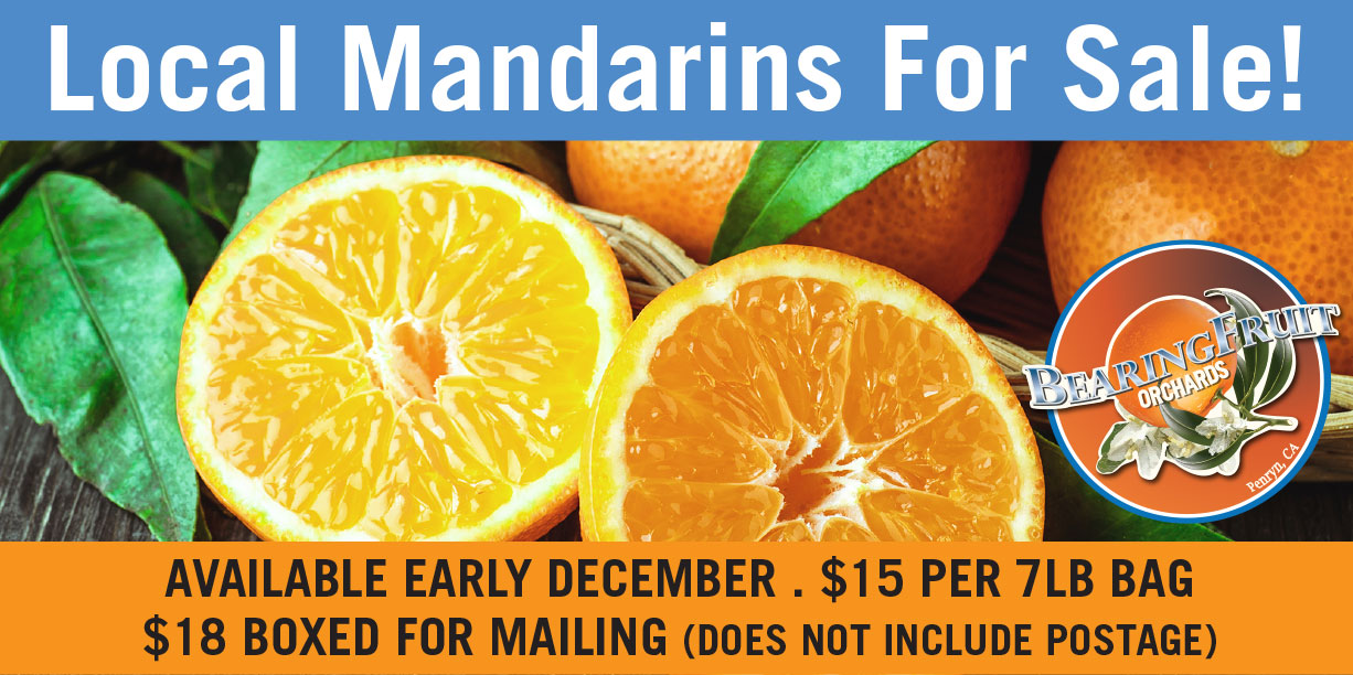 SILB_Mandarin-Home-Page